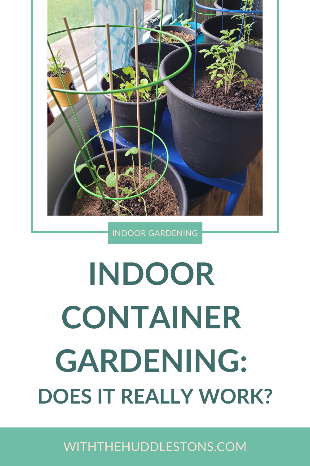 indoor container gardening